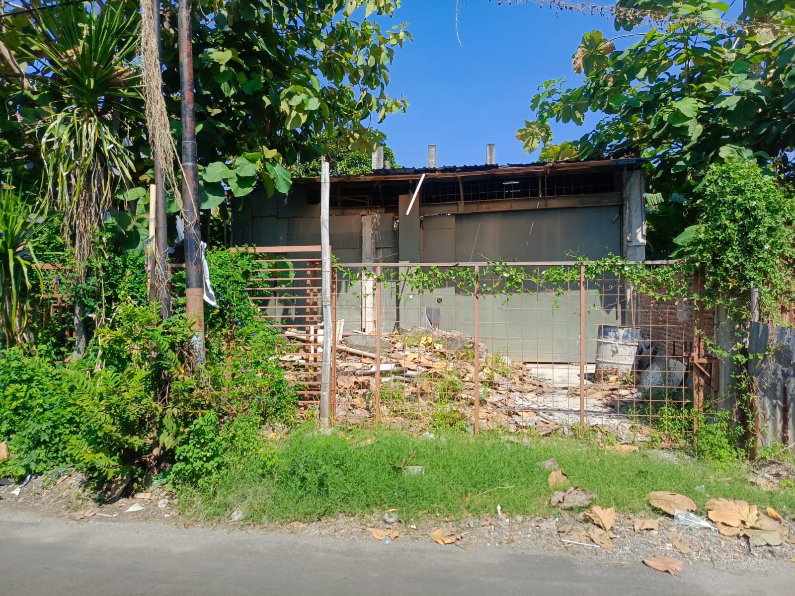 WhatsApp Image 2024-09-30 at 09.07.15 (2)