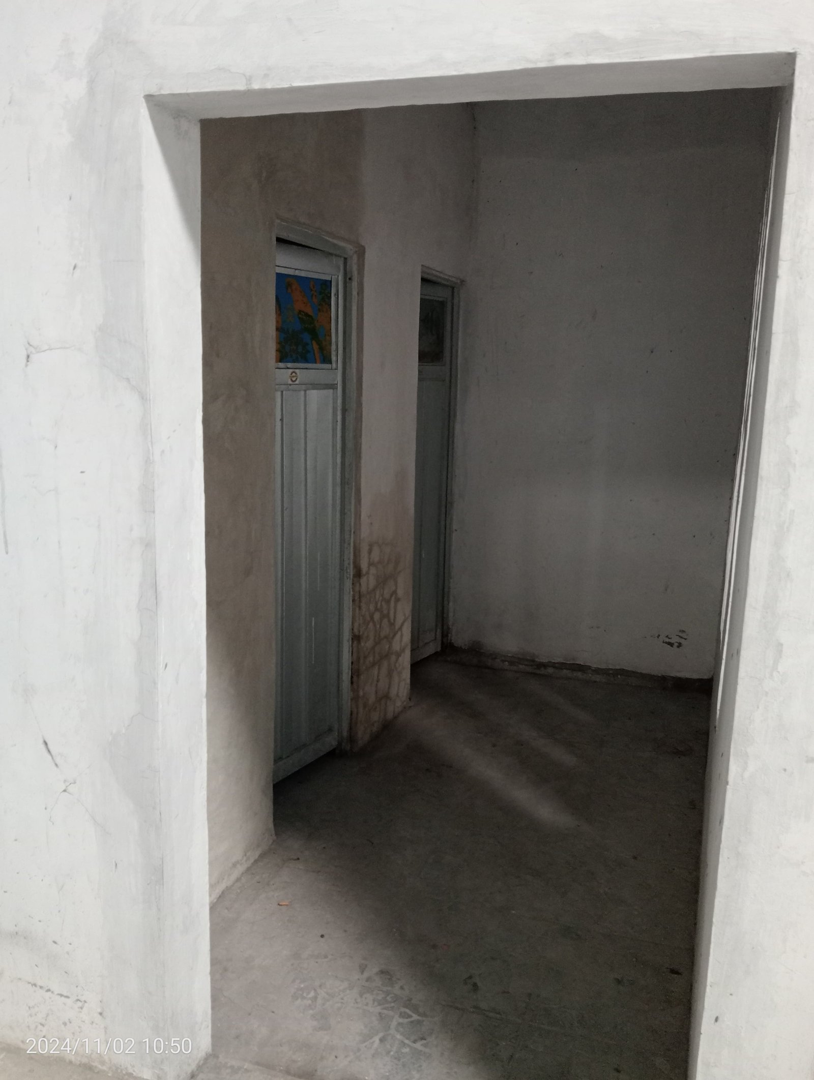 WhatsApp Image 2024-11-02 at 11.09.17