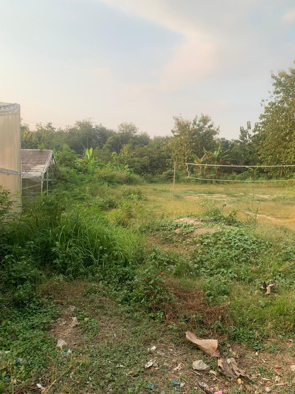 WhatsApp Image 2024-11-14 at 16.08.49