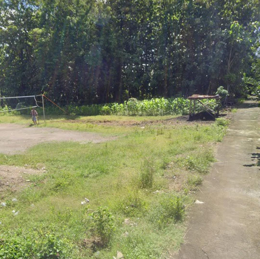 WhatsApp Image 2024-11-14 at 16.08.50