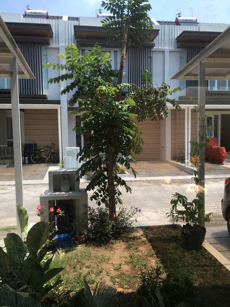 WhatsApp Image 2024-11-25 at 11.14.43