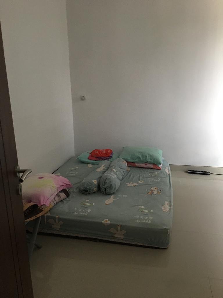 WhatsApp Image 2024-11-25 at 11.14.44 (1)