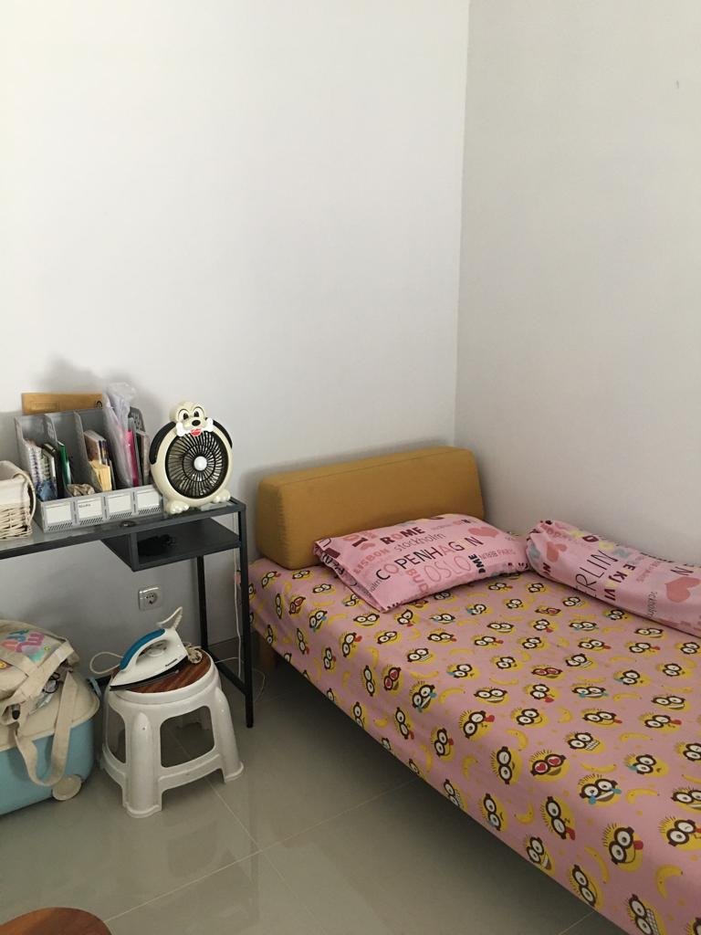 WhatsApp Image 2024-11-25 at 11.14.44