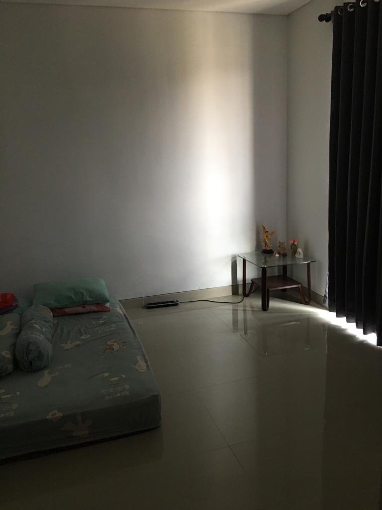 WhatsApp Image 2024-11-25 at 11.14.45