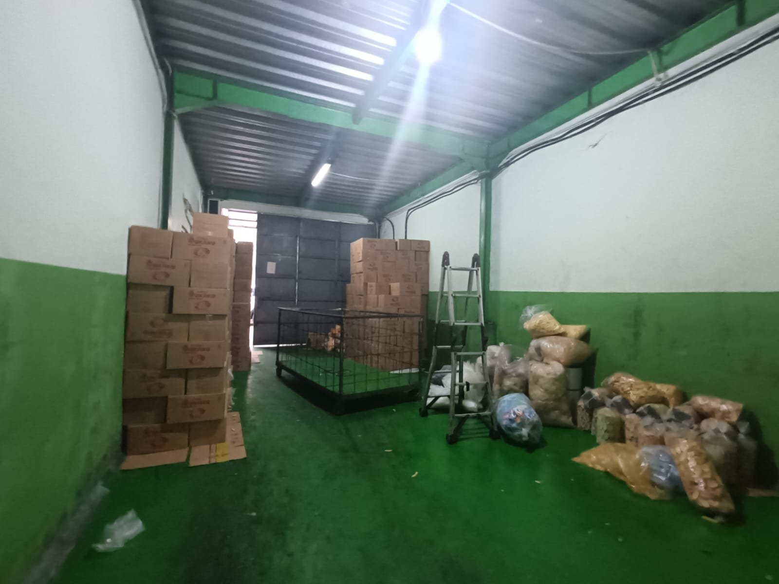 WhatsApp Image 2024-11-28 at 11.00.44 (3)