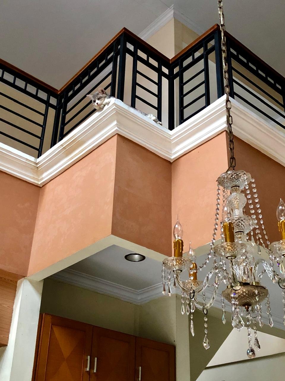 WhatsApp Image 2024-12-09 at 08.42.23 (1)