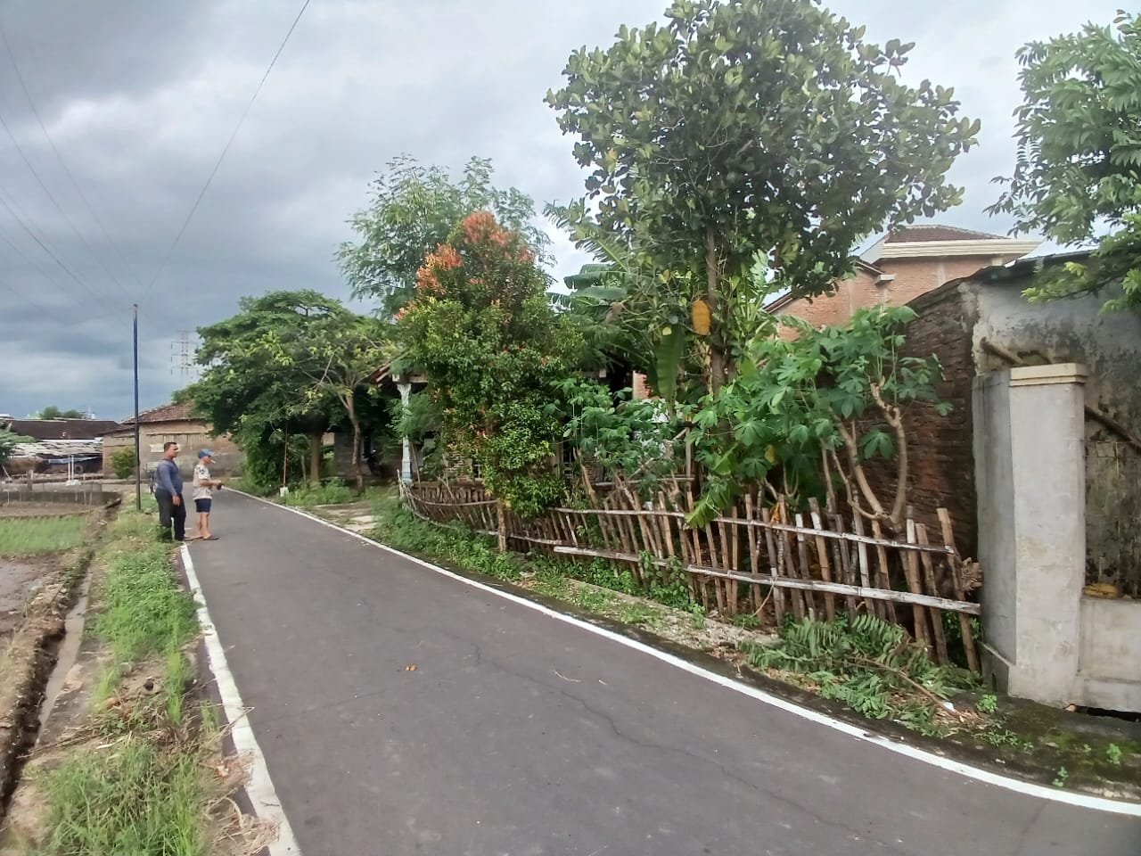 WhatsApp Image 2025-01-14 at 14.35.18