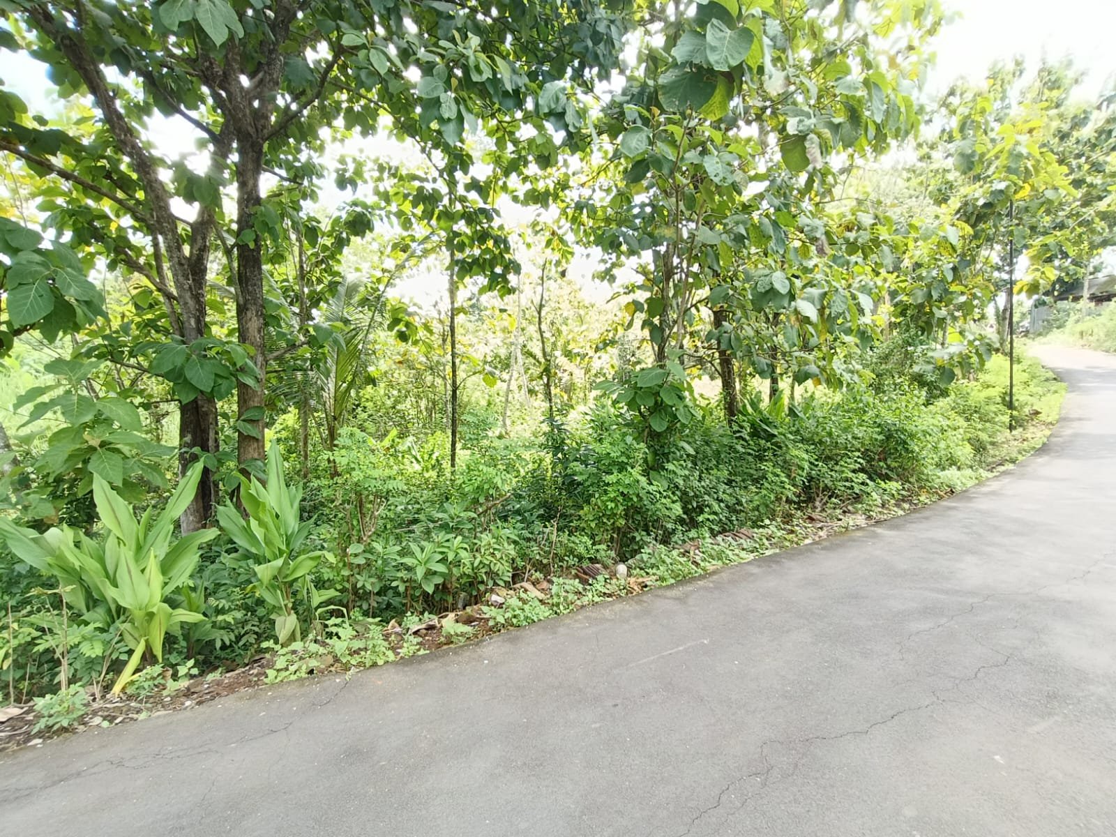 WhatsApp Image 2025-01-21 at 05.25.33