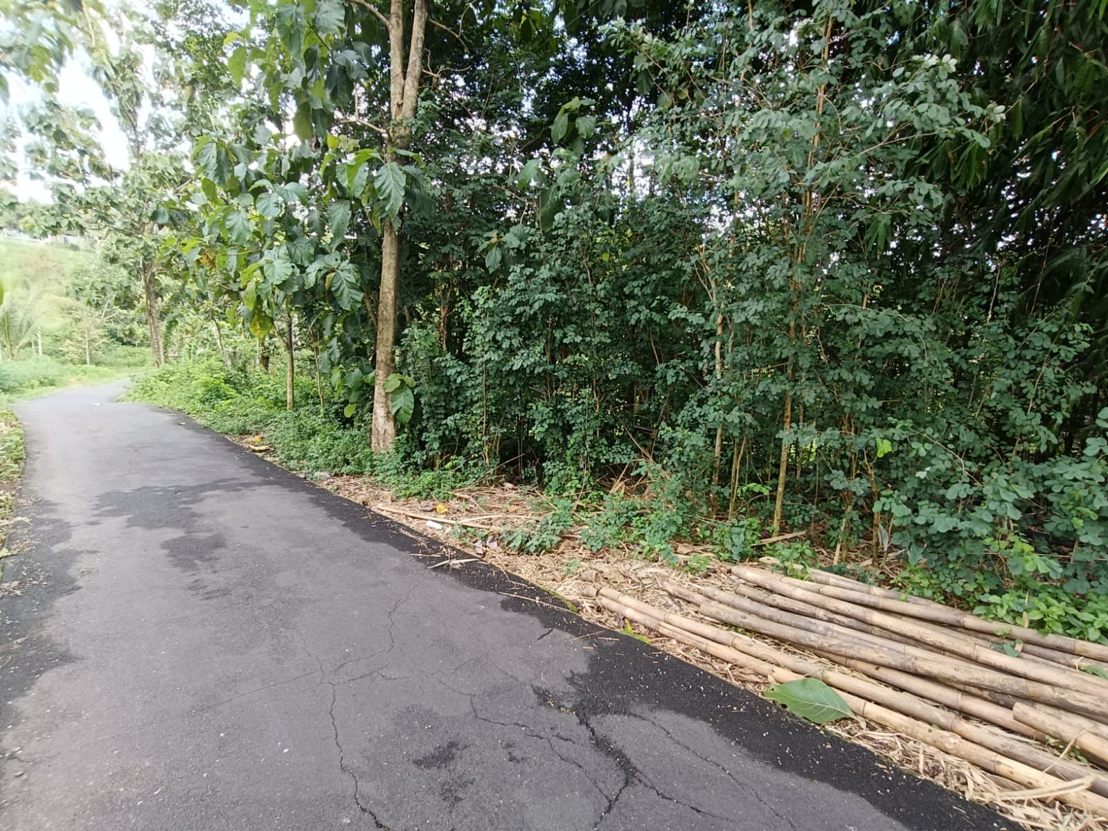 WhatsApp Image 2025-01-21 at 05.25.34