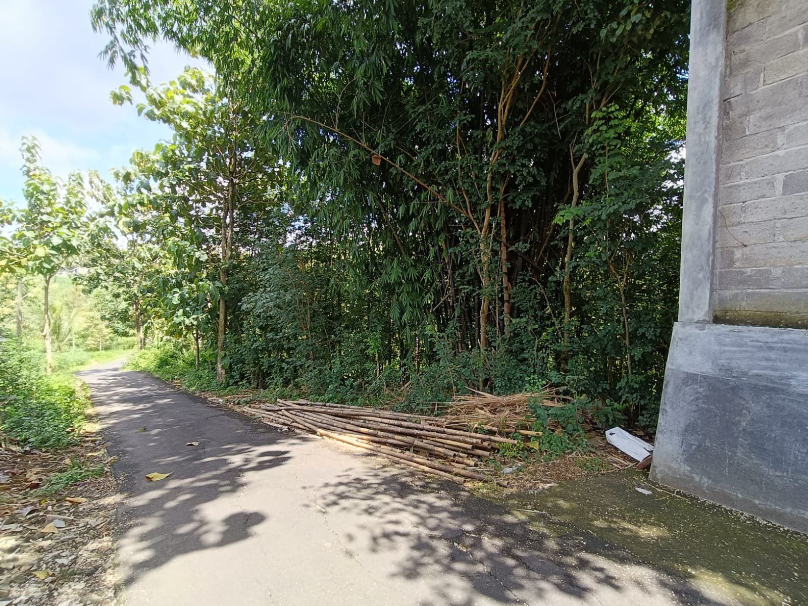 WhatsApp Image 2025-01-21 at 05.25.35