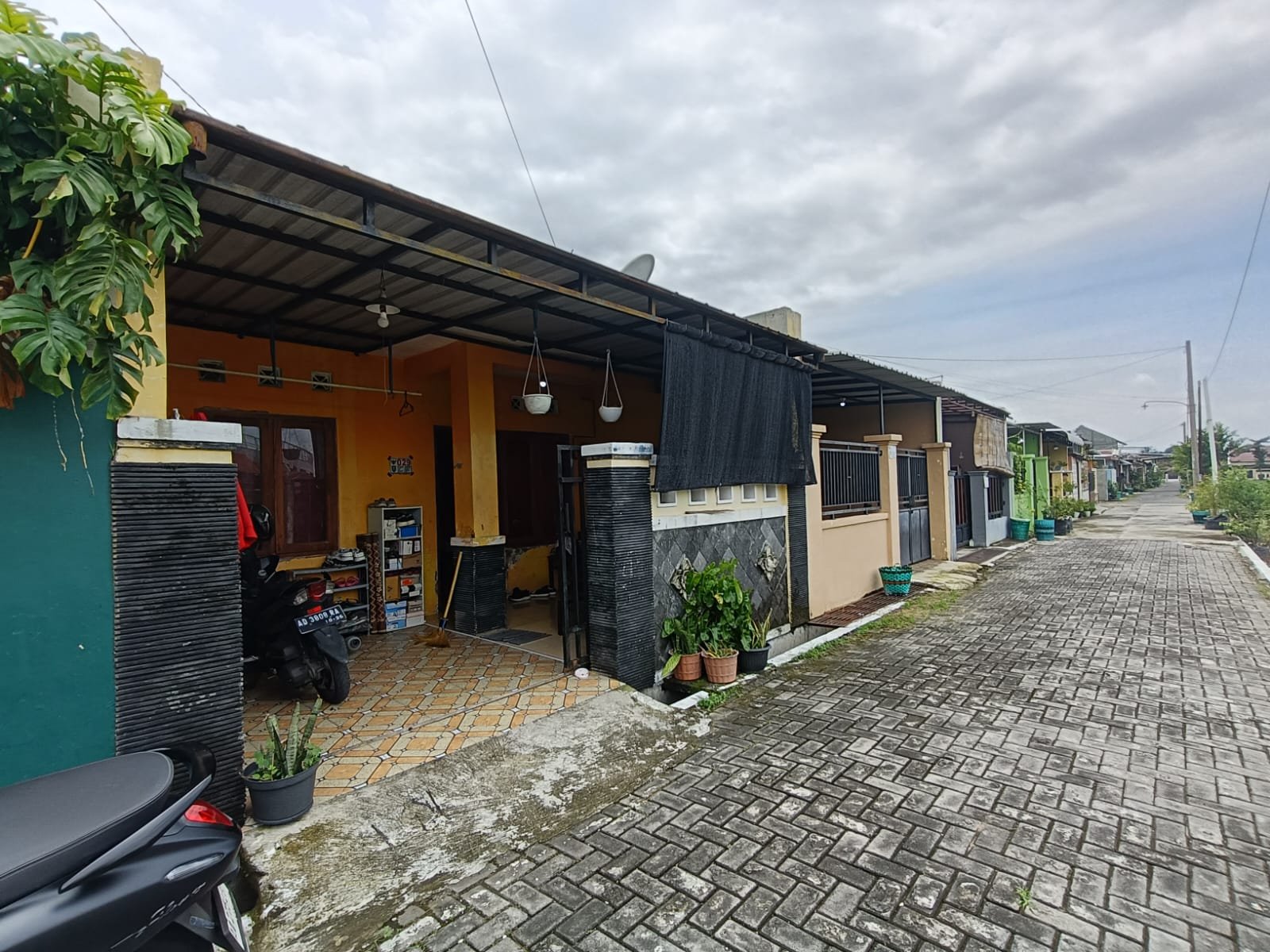 WhatsApp Image 2025-02-01 at 11.40.48 (1)