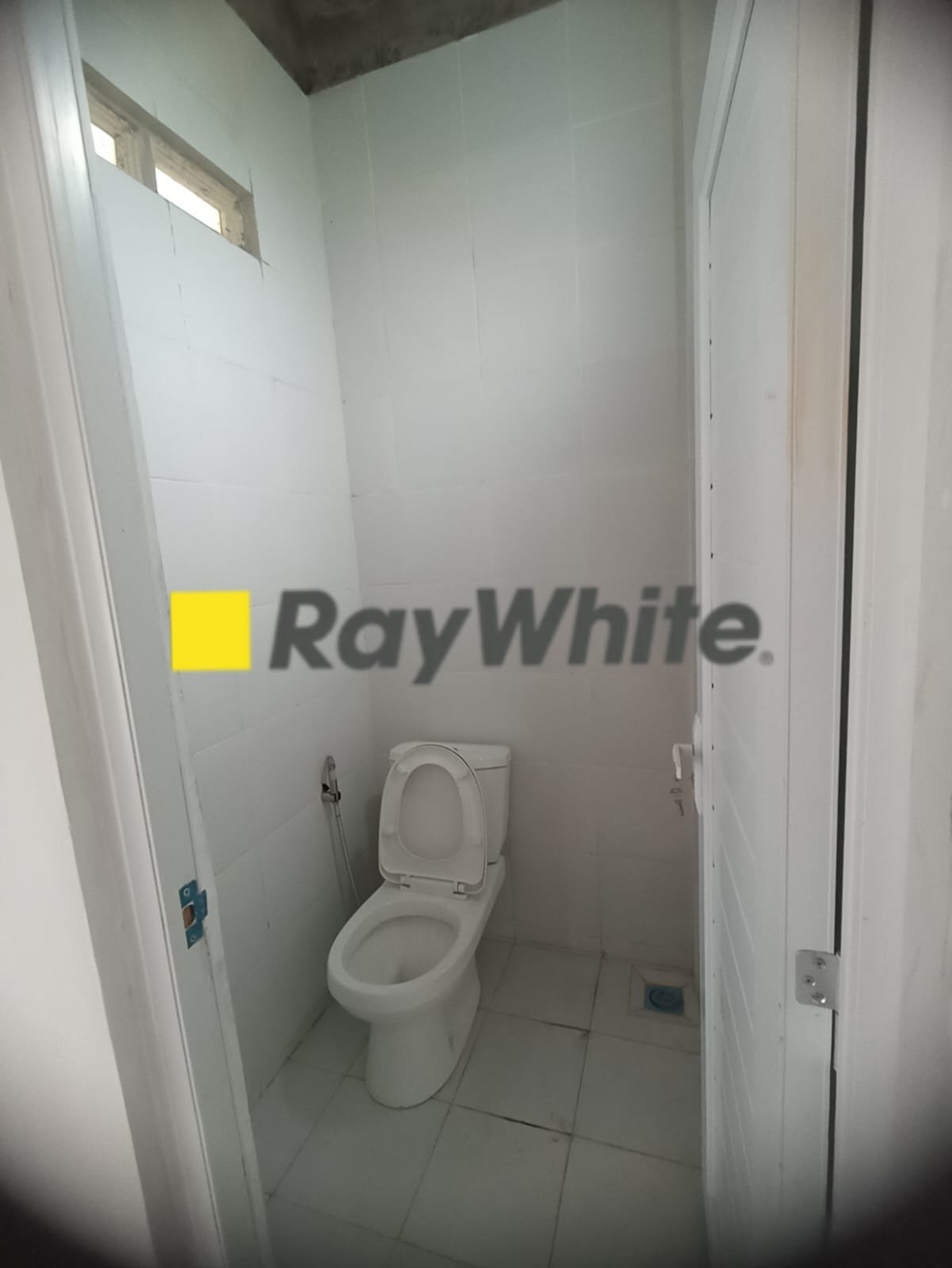 WhatsApp Image 2025-02-06 at 11.08.31 (1)