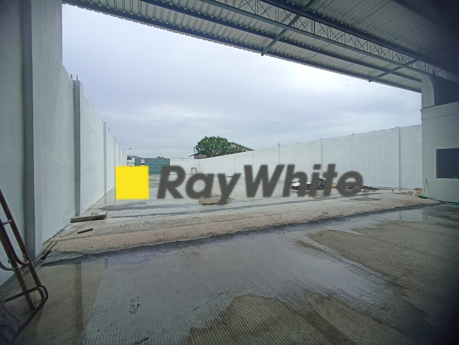 WhatsApp Image 2025-02-06 at 11.08.32 (1)