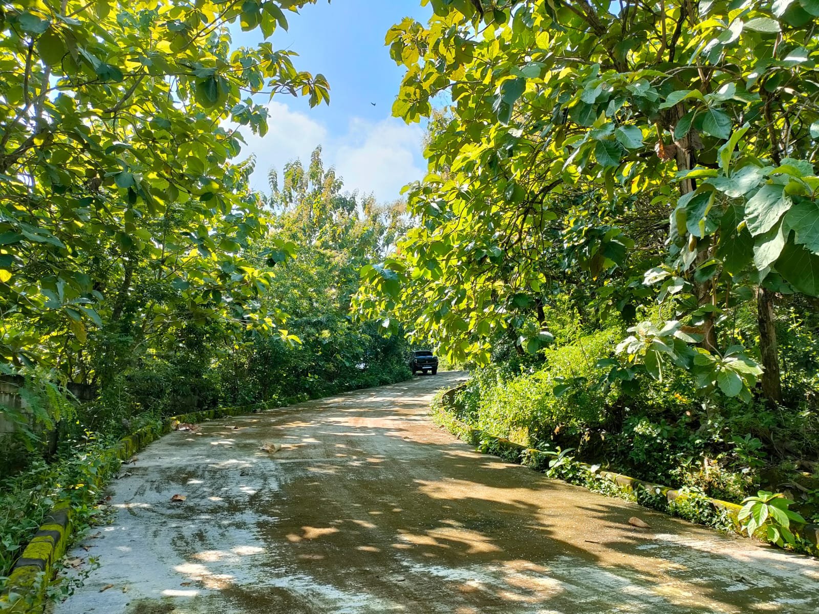 WhatsApp Image 2025-02-07 at 09.30.02 (1)