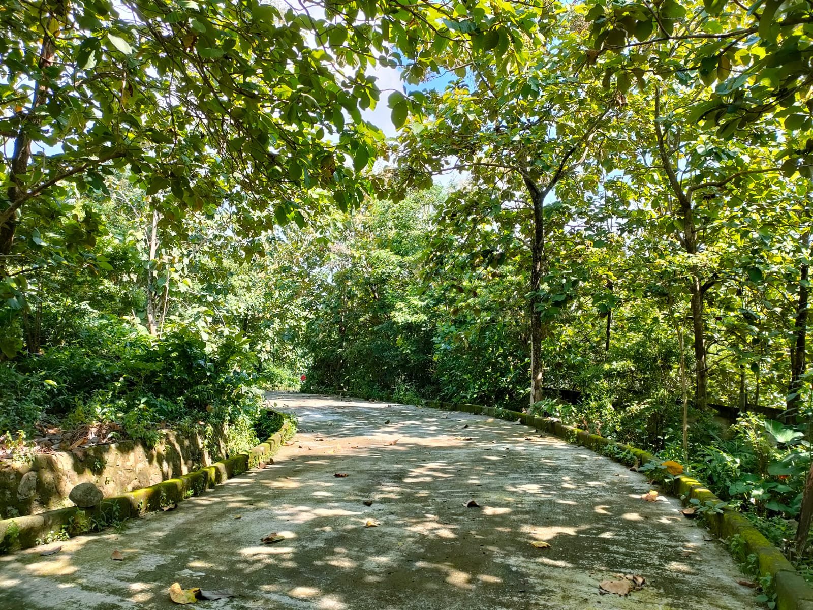 WhatsApp Image 2025-02-07 at 09.30.02 (2)