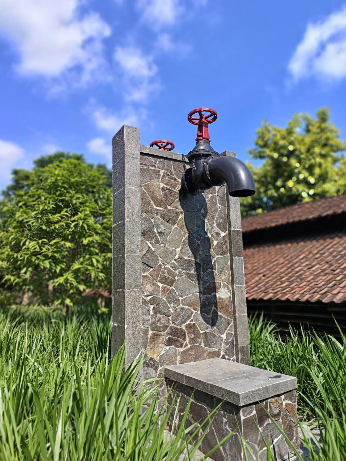 WhatsApp Image 2025-02-07 at 09.30.03 (1)