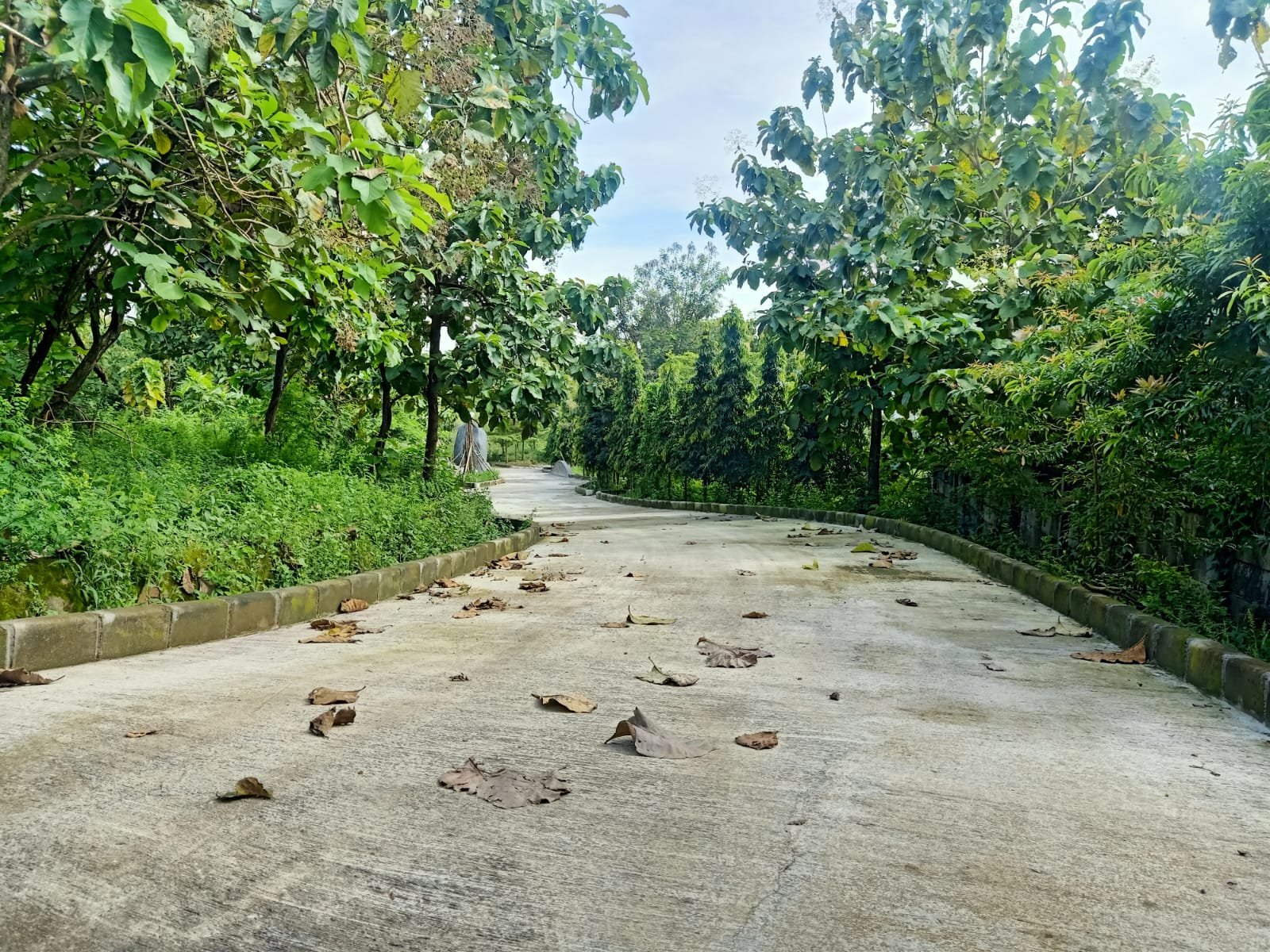 WhatsApp Image 2025-02-07 at 09.30.04 (1)