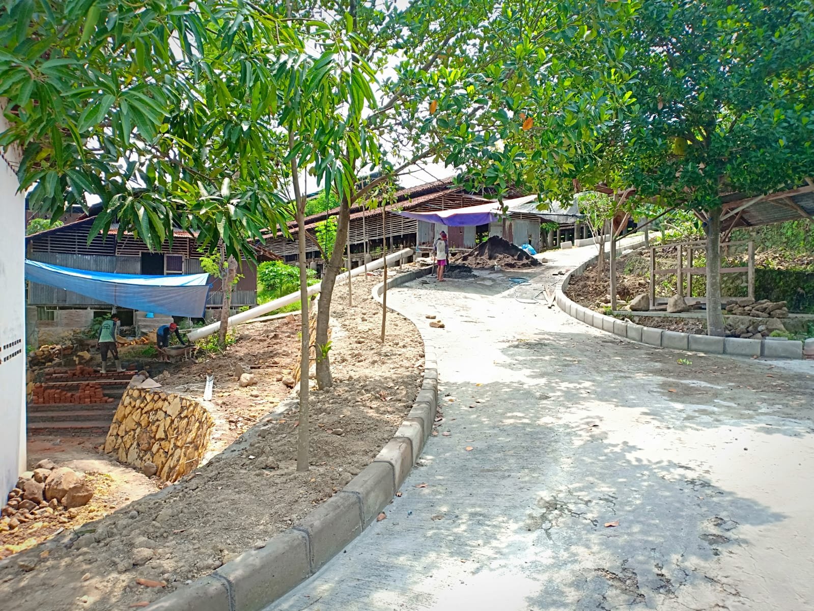 WhatsApp Image 2025-02-07 at 09.30.04 (2)