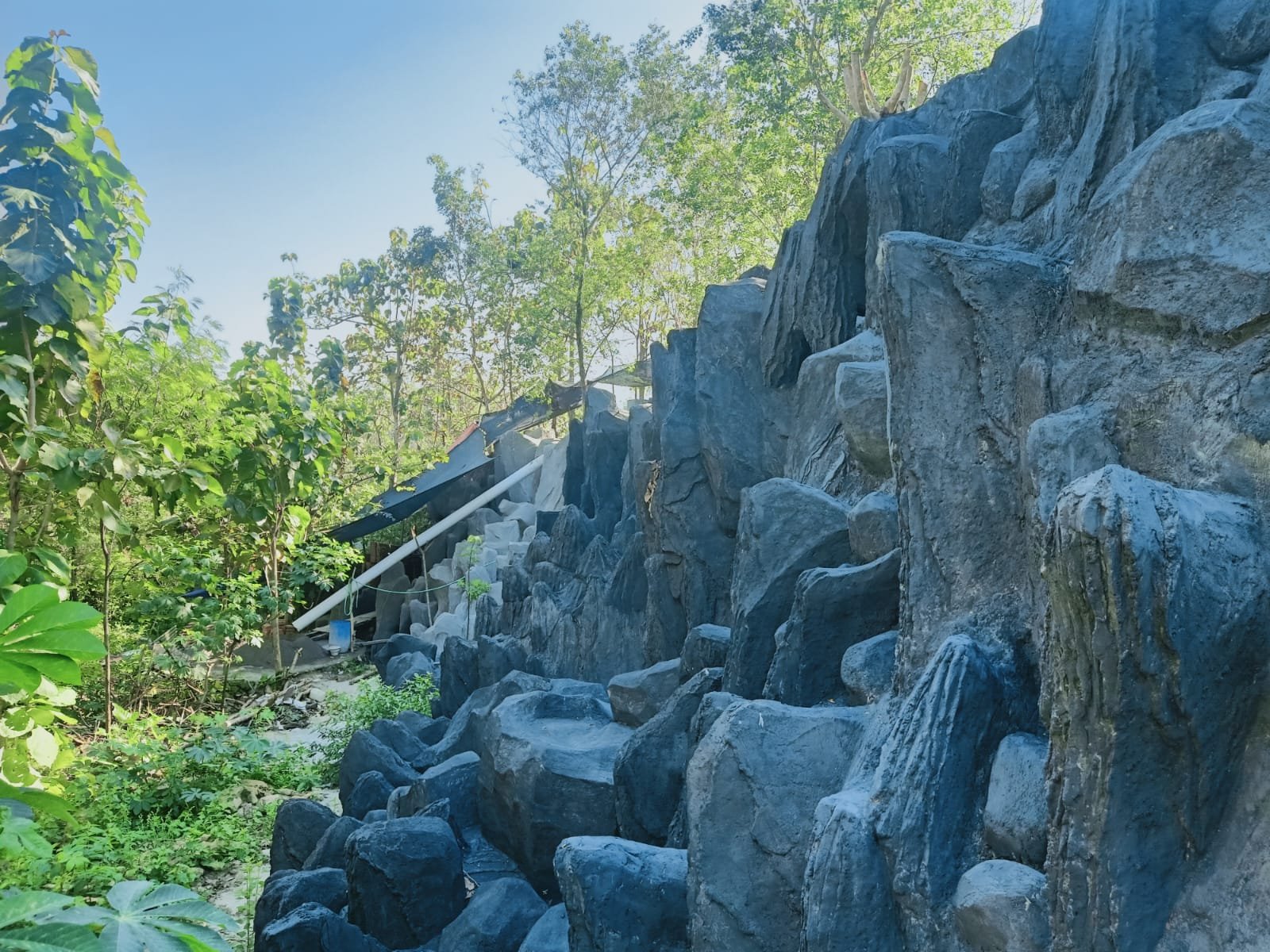 WhatsApp Image 2025-02-07 at 09.30.04