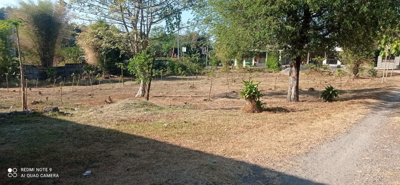 WhatsApp Image 2025-02-07 at 09.30.05