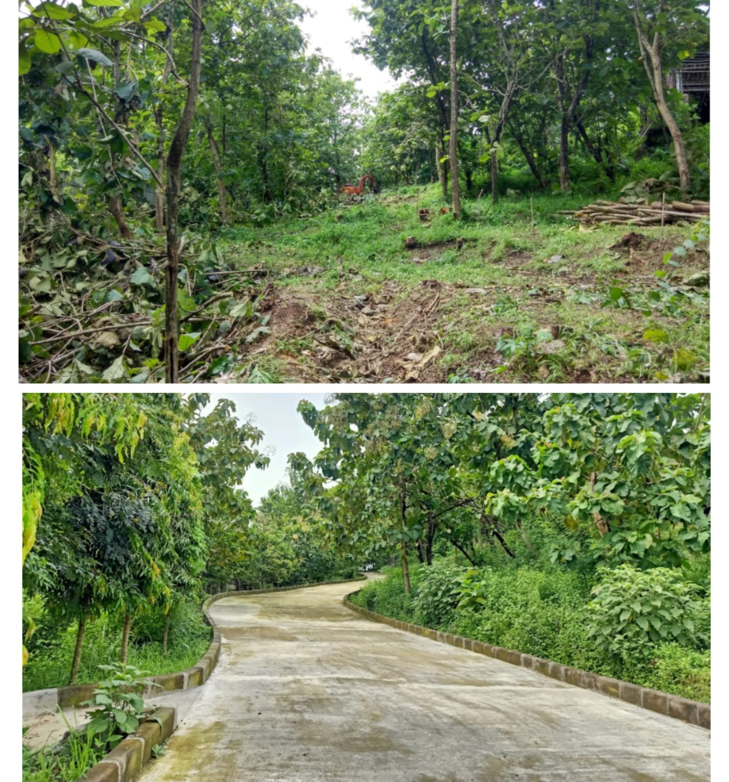 WhatsApp Image 2025-02-07 at 09.30.13