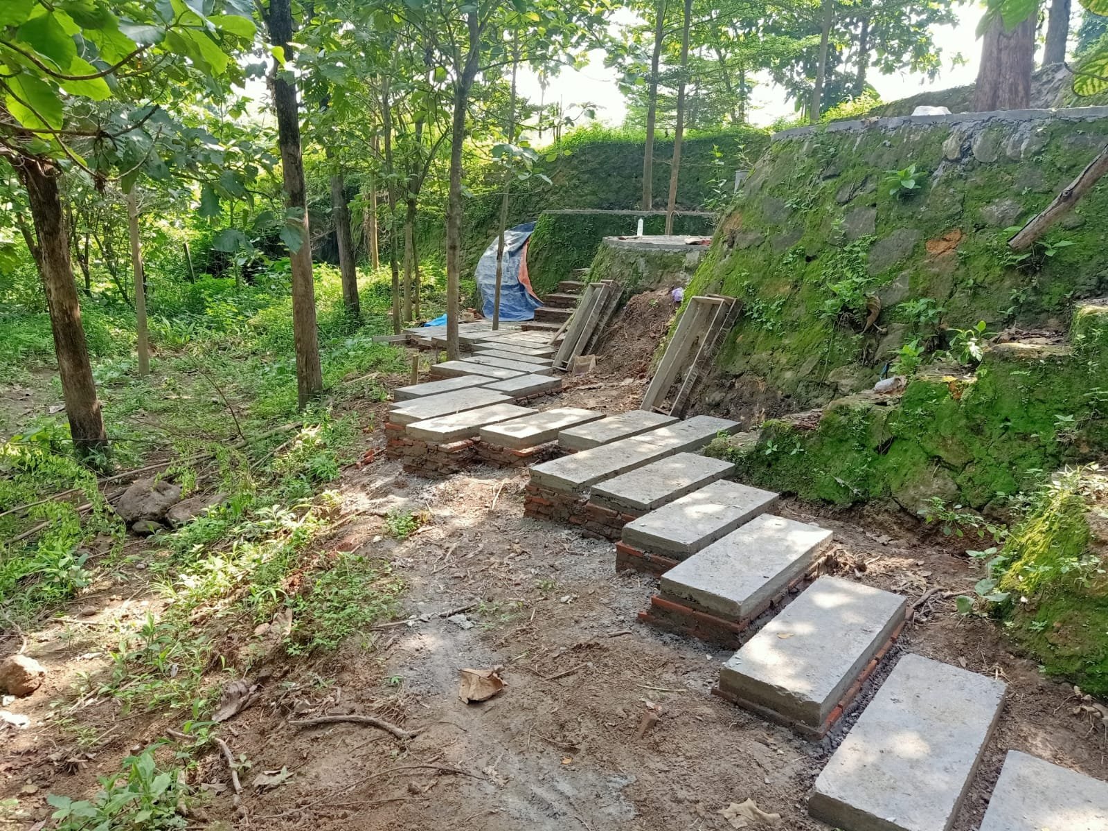 WhatsApp Image 2025-02-07 at 09.30.21 (2)