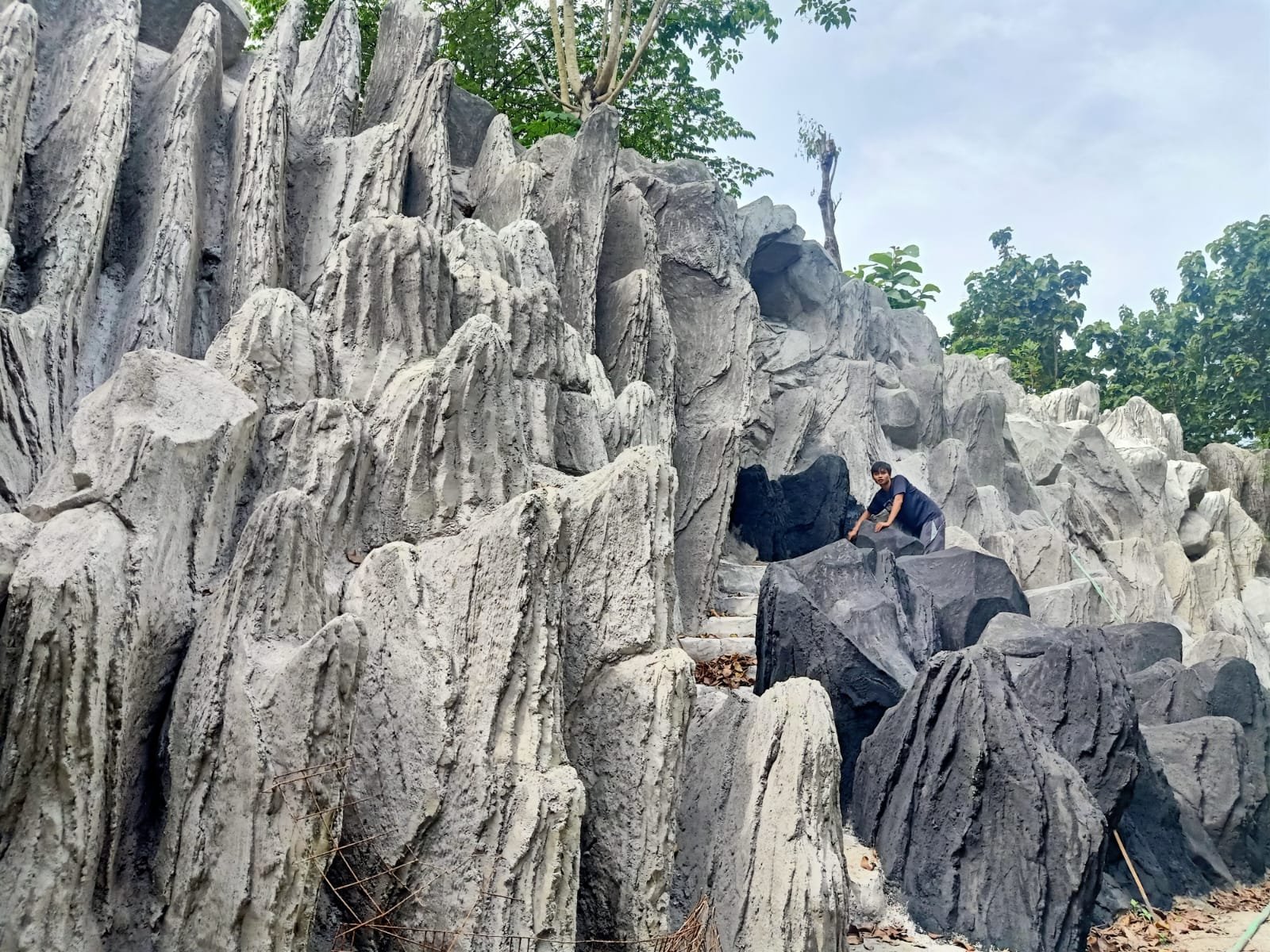 WhatsApp Image 2025-02-07 at 09.30.21