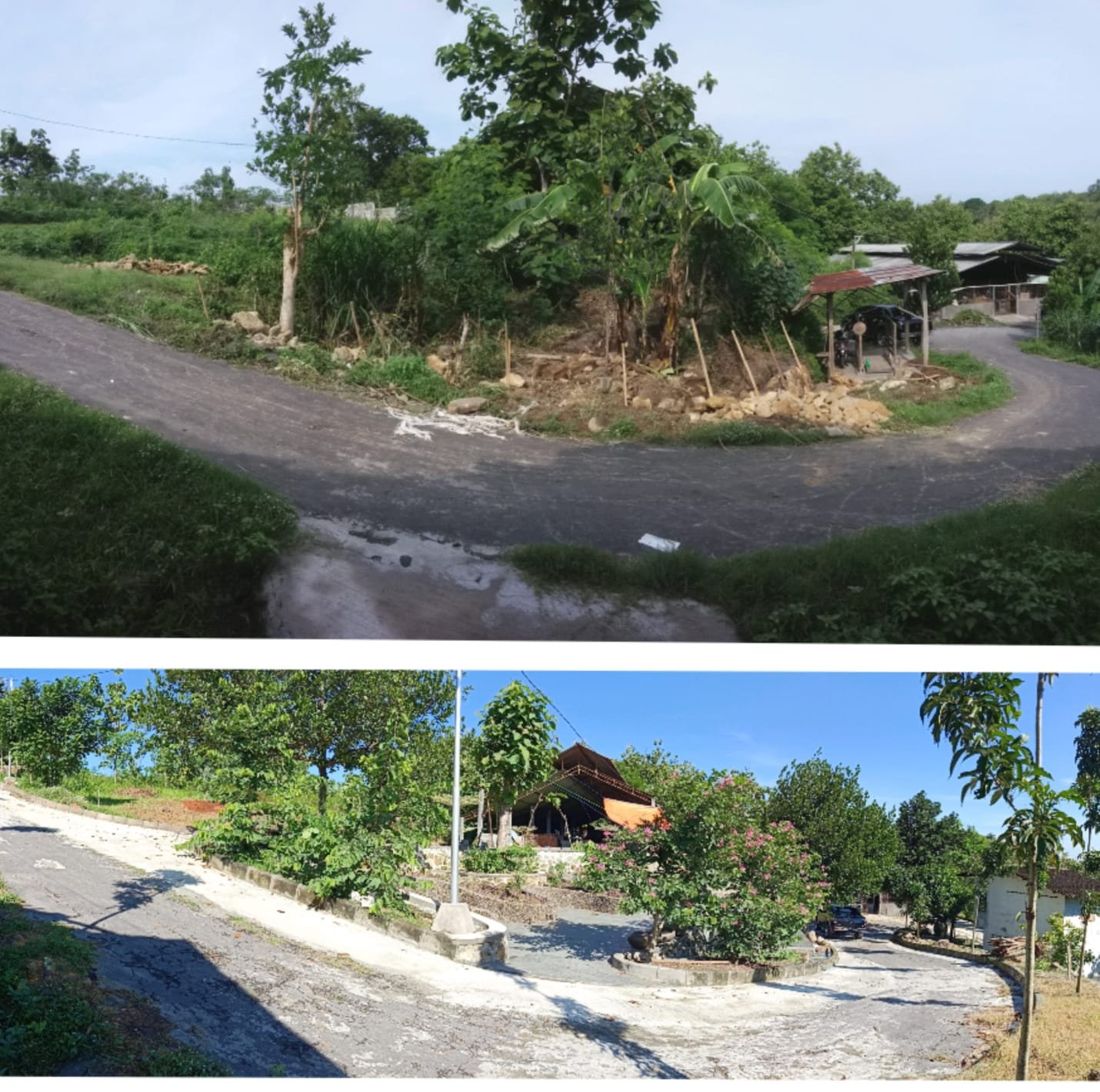 WhatsApp Image 2025-02-07 at 09.30.22 (2)