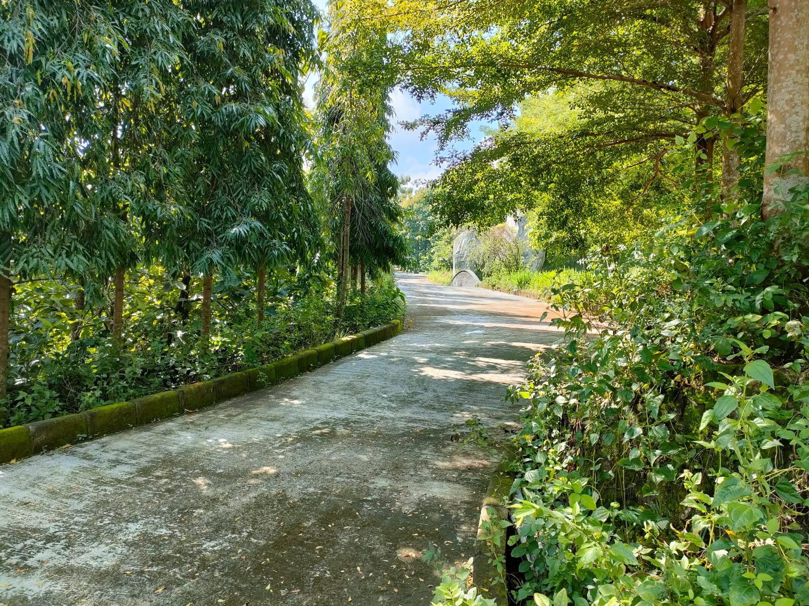 WhatsApp Image 2025-02-07 at 09.30.22