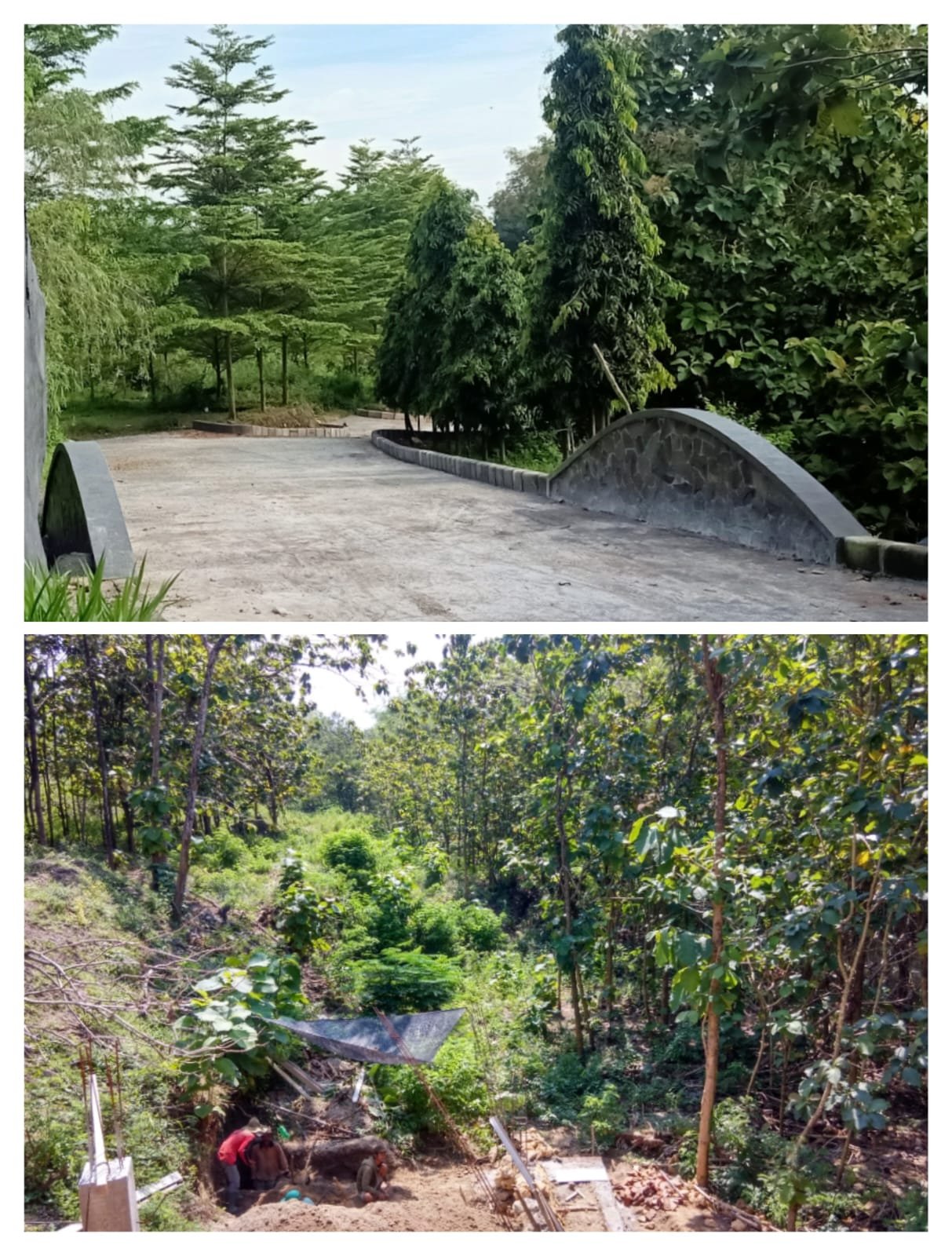 WhatsApp Image 2025-02-07 at 09.30.24