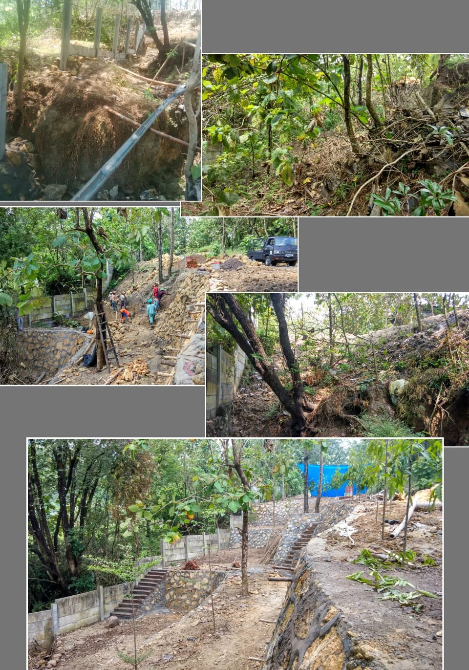 WhatsApp Image 2025-02-07 at 09.30.33 (1)