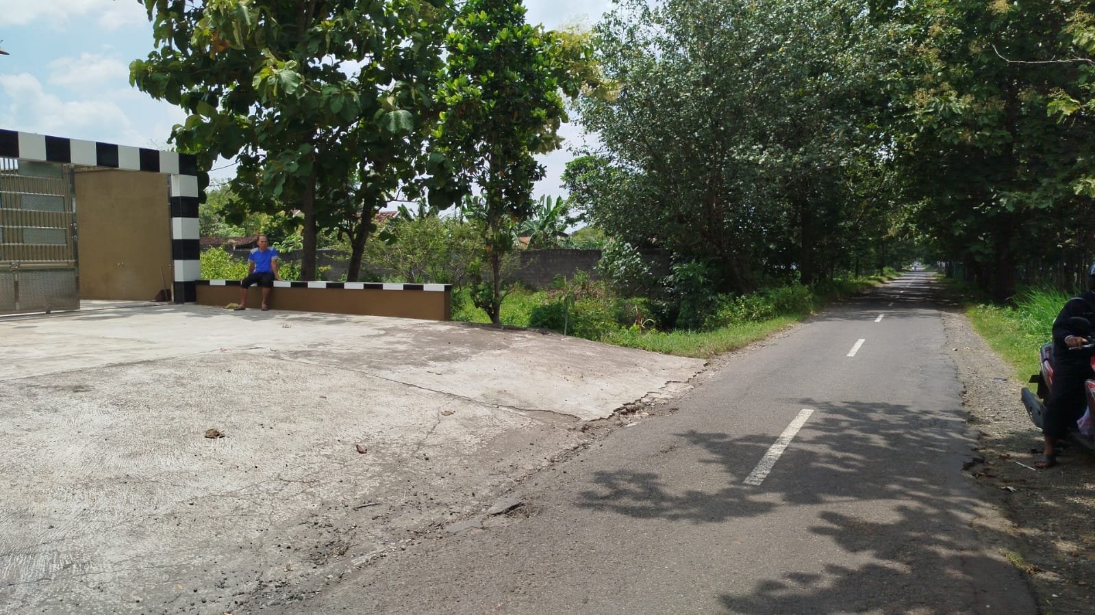 WhatsApp Image 2025-02-08 at 12.53.59 (1)