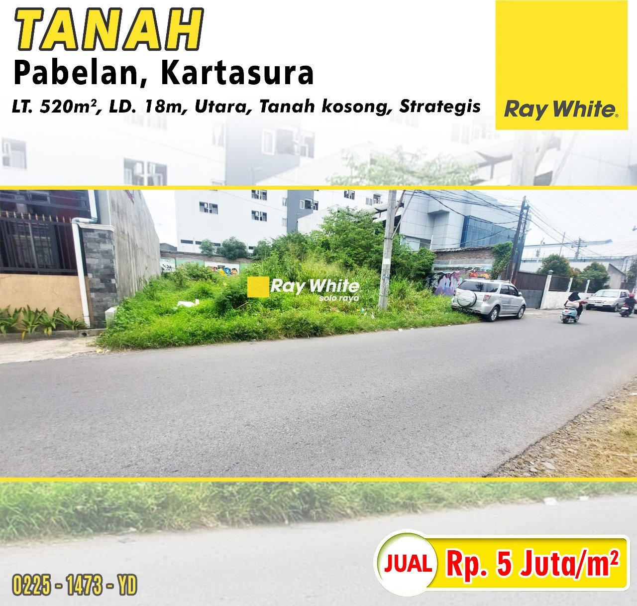 WhatsApp Image 2025-02-11 at 13.12.38