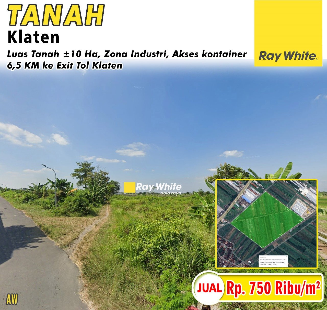 WhatsApp Image 2025-02-14 at 10.51.06