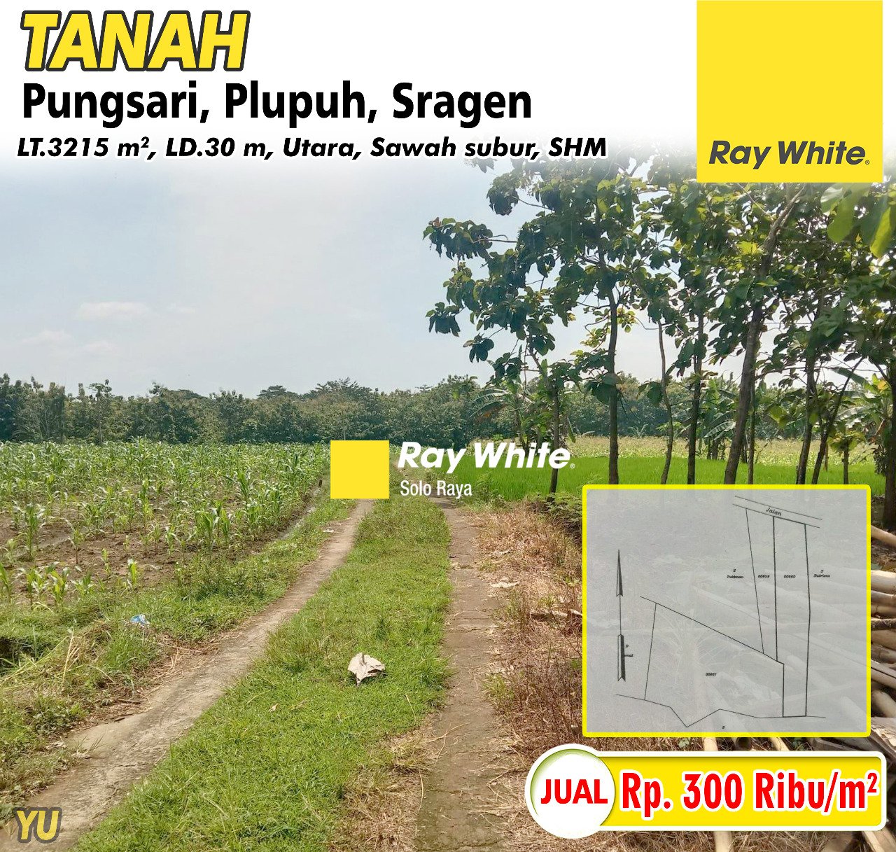 Yuniar-Tanah jual pungsari plupuh sragen. SHM 1103. Hrg 300Rb per m2