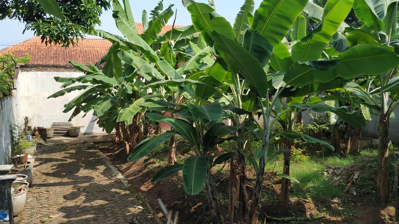 WhatsApp Image 2021-07-24 at 16.05.49 (2)