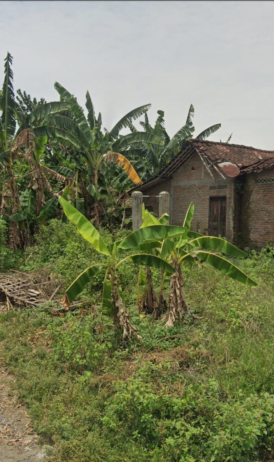 WhatsApp Image 2025-03-01 at 14.58.06