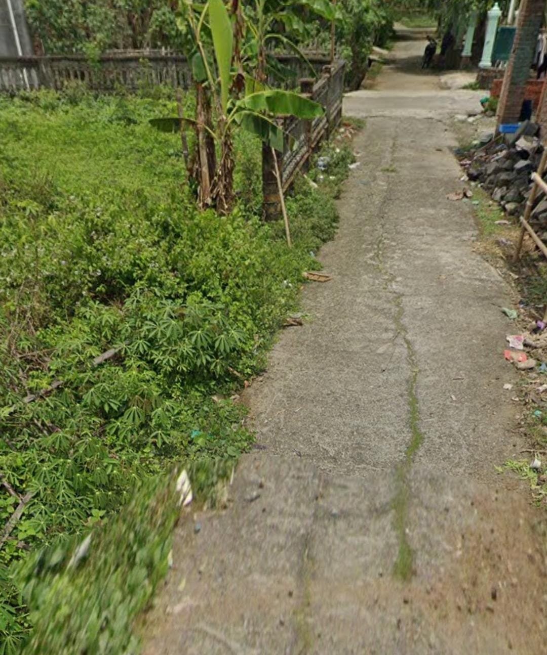 WhatsApp Image 2025-03-01 at 14.59.06