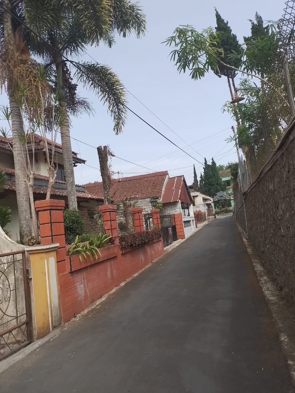 WhatsApp Image 2025-03-07 at 12.59.02