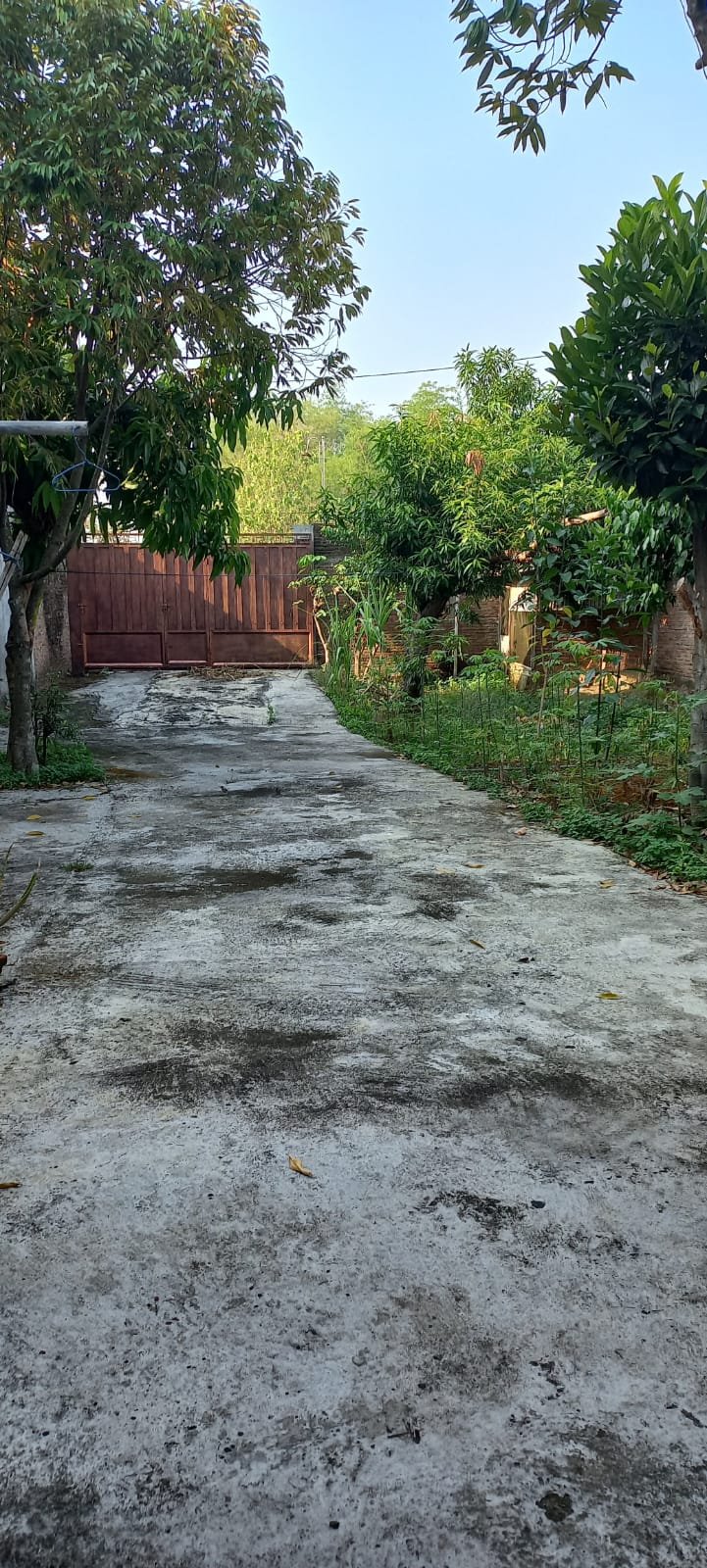 WhatsApp Image 2025-03-10 at 10.45.40 (2)