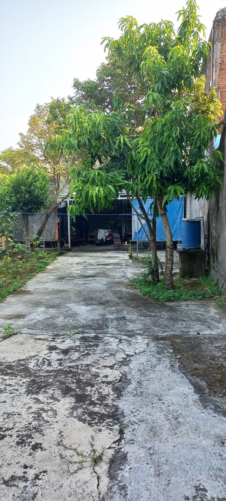 WhatsApp Image 2025-03-10 at 10.45.40