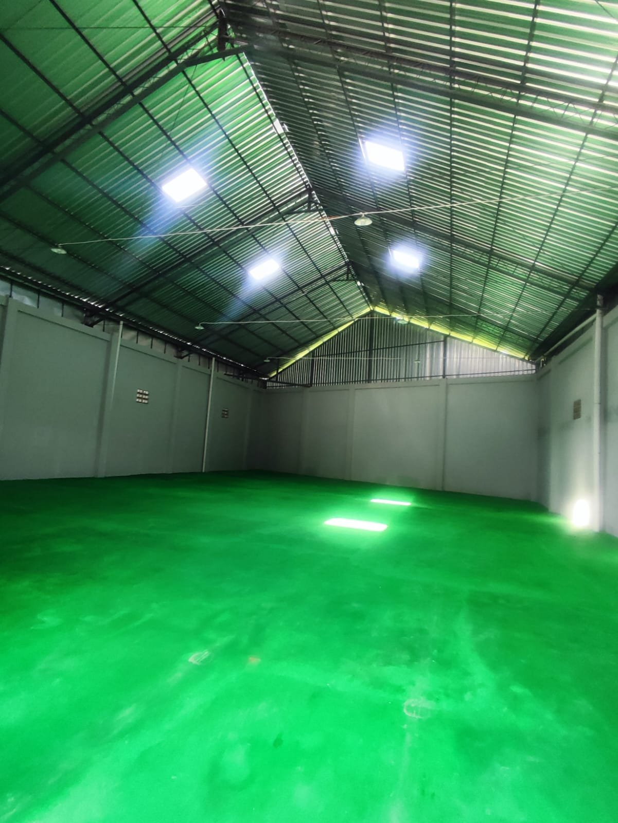 WhatsApp Image 2025-03-15 at 14.17.54