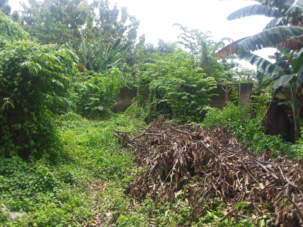 WhatsApp Image 2025-03-20 at 12.47.43