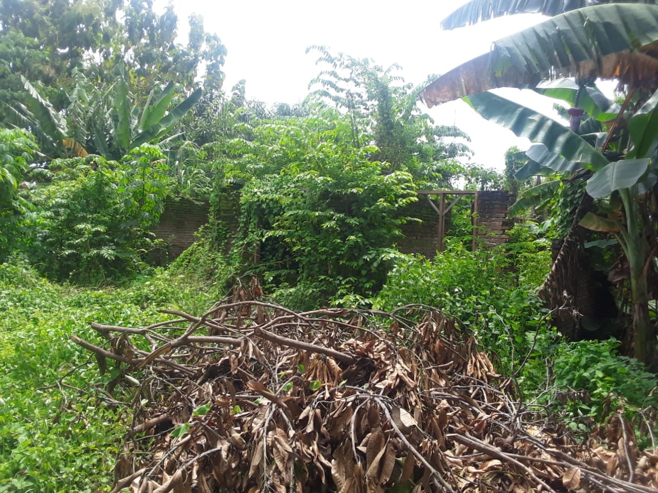 WhatsApp Image 2025-03-20 at 12.47.43(1)