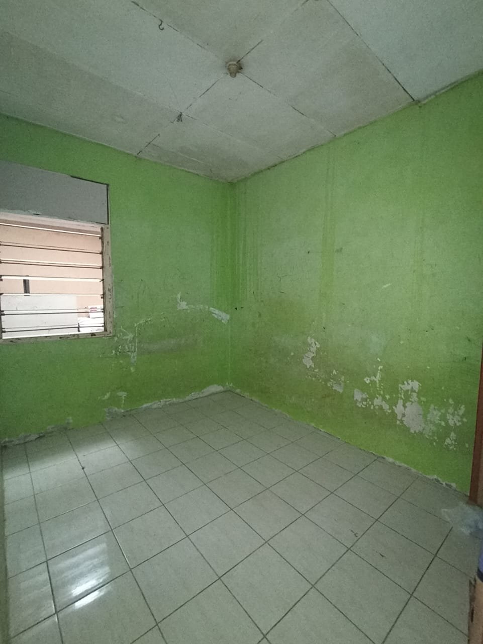 WhatsApp Image 2025-04-04 at 09.53.22