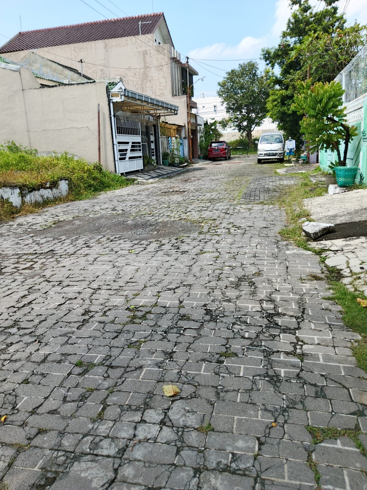 WhatsApp Image 2025-04-14 at 10.31.35 (1)