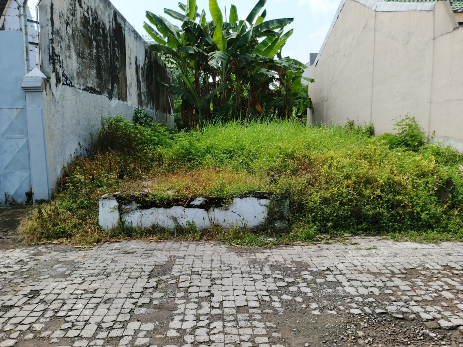 WhatsApp Image 2025-04-14 at 10.31.35