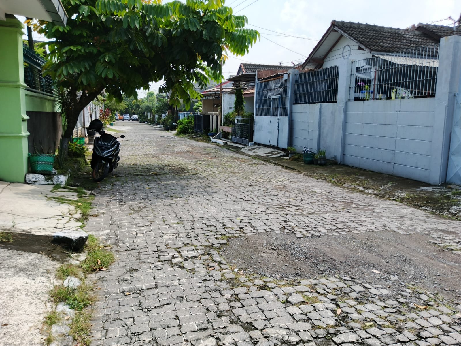 WhatsApp Image 2025-04-14 at 10.31.35(1)