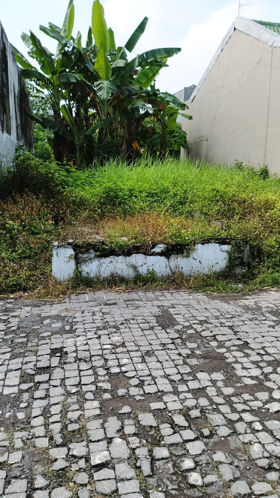 WhatsApp Image 2025-04-14 at 10.31.36 (1)