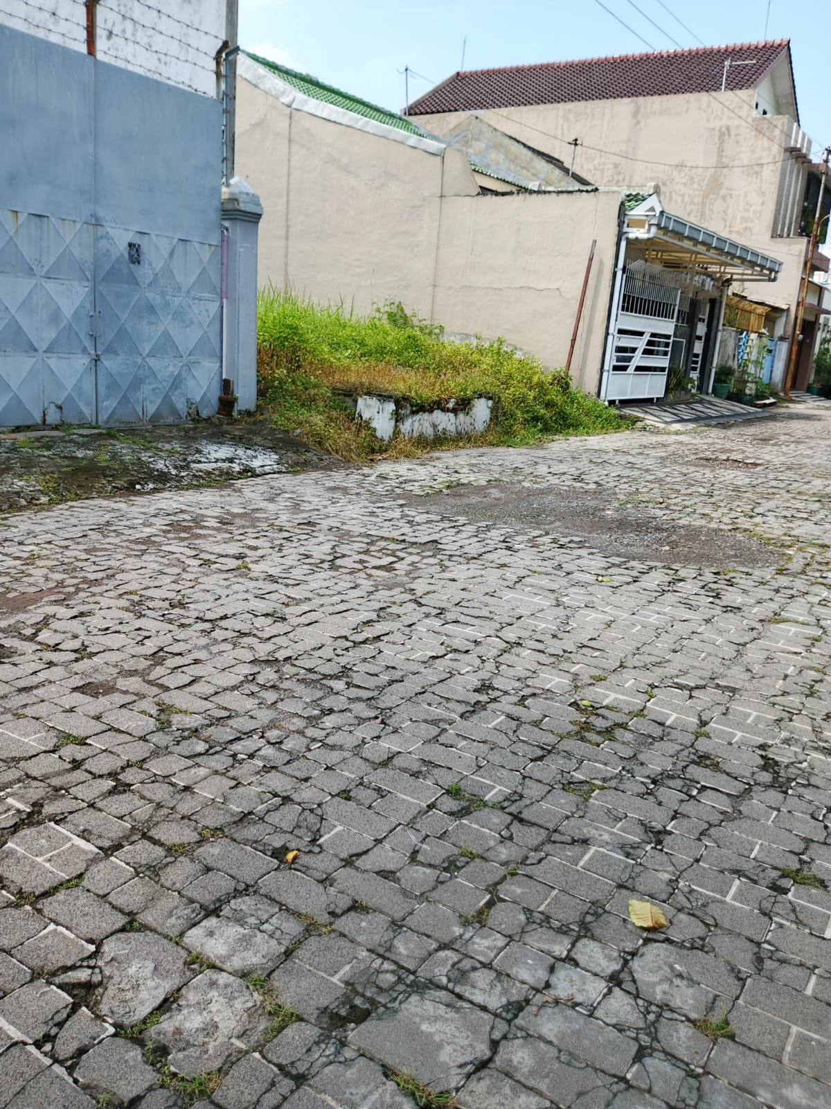 WhatsApp Image 2025-04-14 at 10.31.36